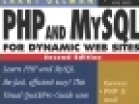 如何使用标签和@import实现动态样式注入